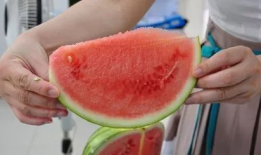 今日吃瓜5,揭秘娱乐圈最新热点事件