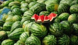 今日热瓜 吃瓜 每日更新.co,每日更新，吃瓜群众必看！”