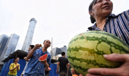 北京朝阳群众今日吃瓜,揭秘京城街头新鲜事