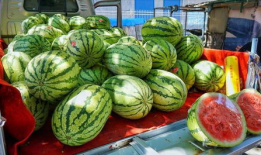 运城今日吃瓜事件真相是真的吗,事实与谣言的较量